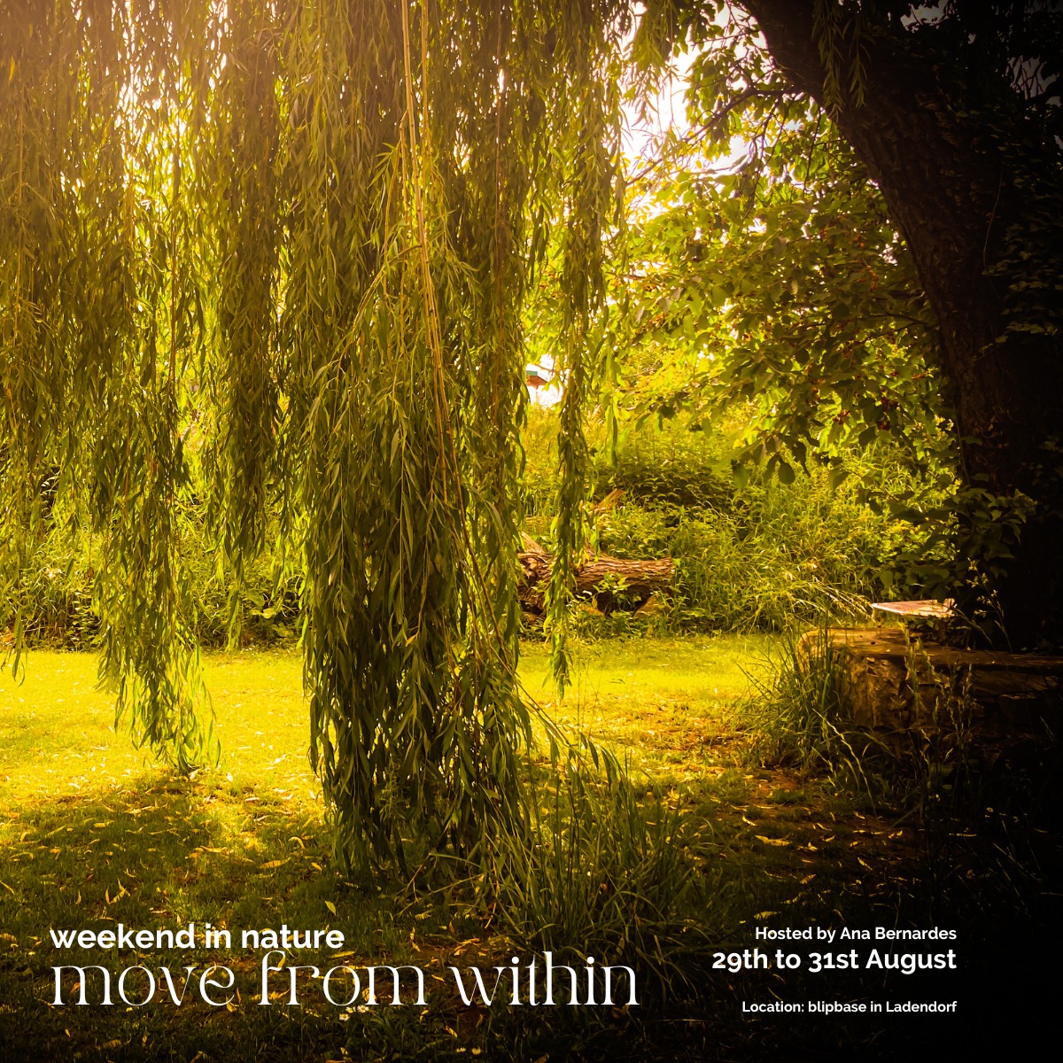 Move from within
